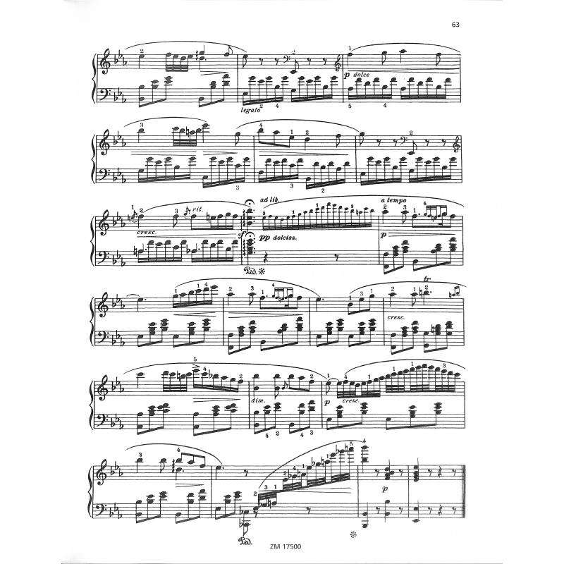 Schönheiten der klassischen Musik
