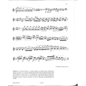 Lern Querflöte spielen 2