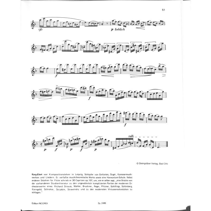 Lern Querflöte spielen 2