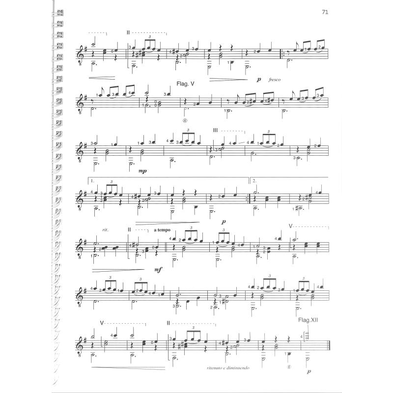 Play guitar in concert - Zugaben