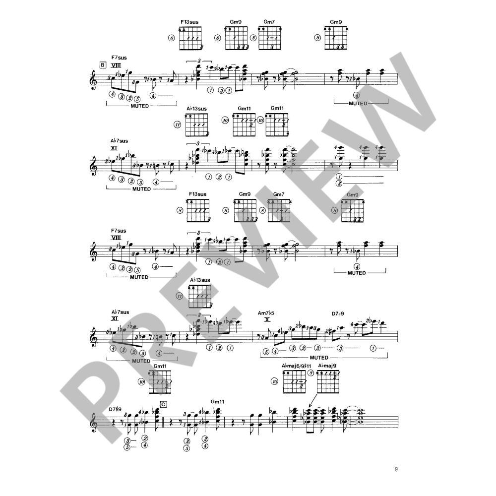 Guitar Duets - Latin Calypso New Age Funk Modal Jazz