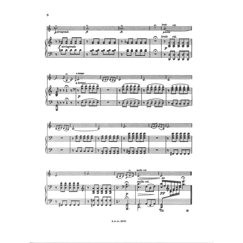 Concertino e-moll op 13