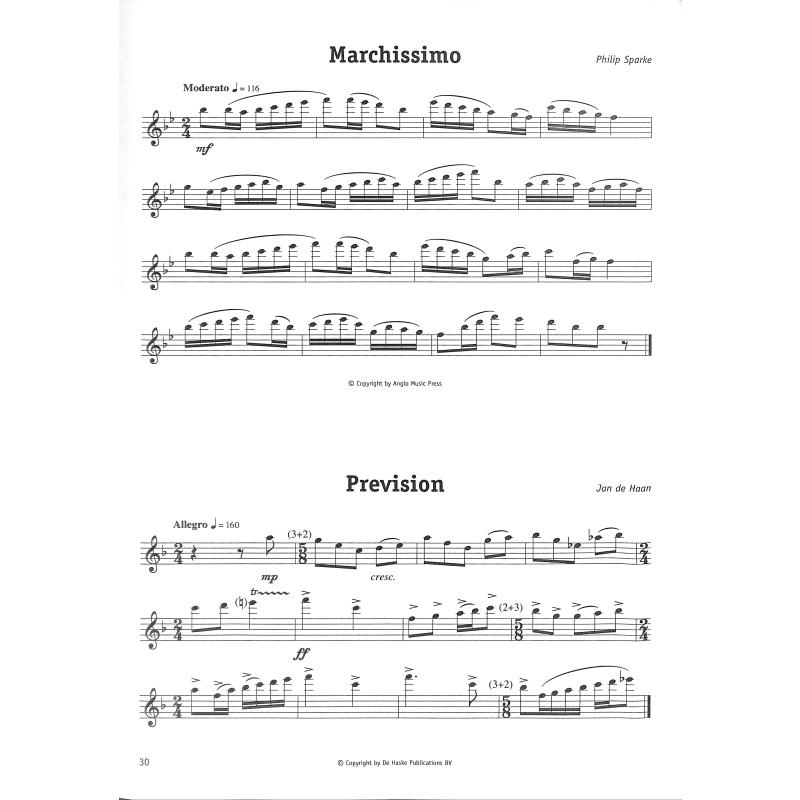 Voorbeeldrepertoire Examen B