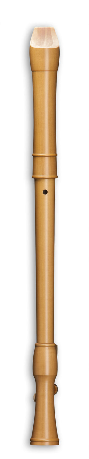 CANTA 2446 Tenor Doppelklappe