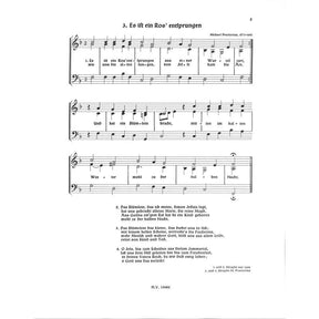 Mitten im kalten Winter