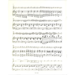 Concertino op 35 in russian style