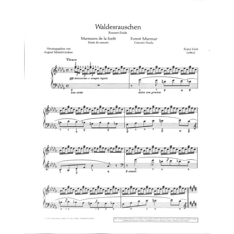 Waldesrauschen (Konzertetüde)