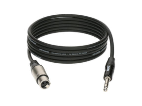 GREYHOUND 10m