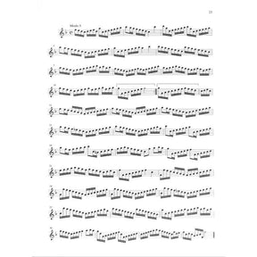 Der Fluyten Lusthof 1