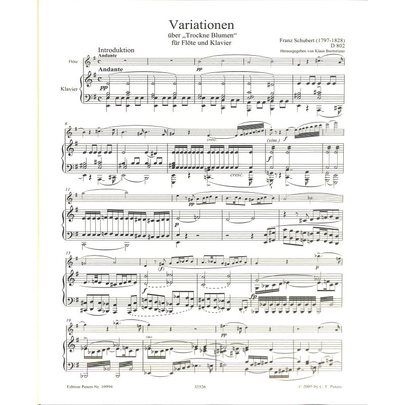 Variationen über trockene Blumen e-moll op 160 D 802