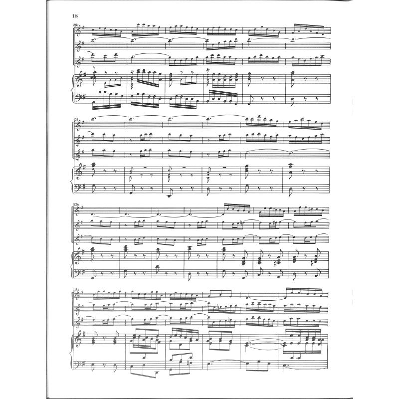 Brandenburgisches Konzert 4 G-Dur BWV 1049