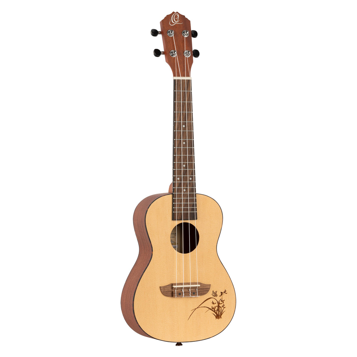 RU5 Konzert Ukelele