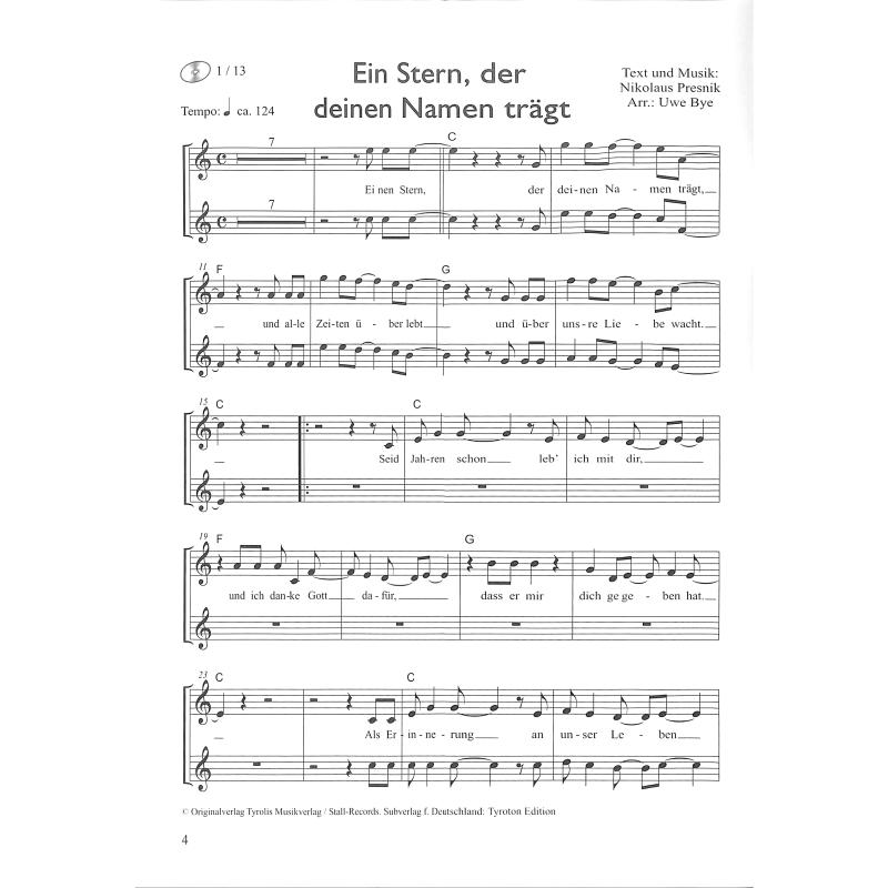Megastarke Popsongs 6