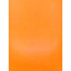 Neue Akkordzither Schule