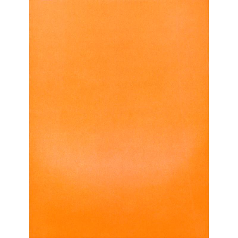 Neue Akkordzither Schule