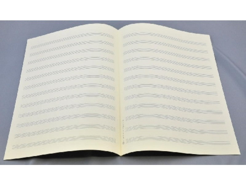 5 Bogen Notenpapier Bachformat
