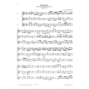 Badinerie (Orchestersuite 2 h-moll BWV 1067)
