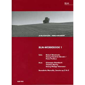 BLM Workbook 1