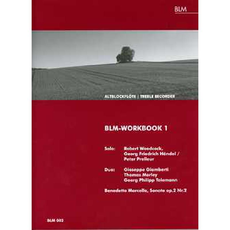 BLM Workbook 1