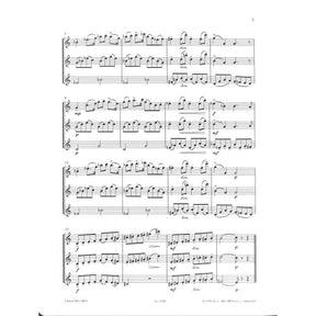 Lern Querflöte spielen in der Gruppe 2