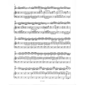 Concerto d-moll RV 245