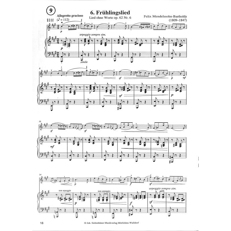 Bekannte und beliebte Violinsolos 2