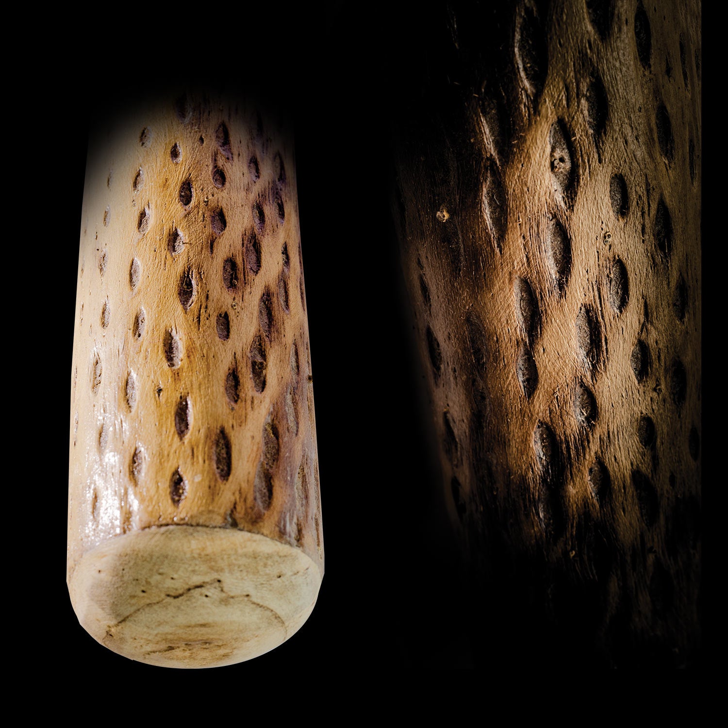 Regenmacher L-75 Copdo-Kaktus