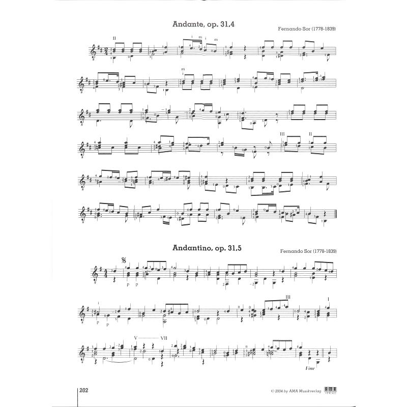 Abenteuer Gitarre