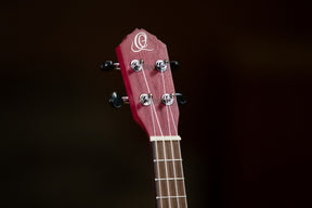 RURUBBY Konzert Ukulele