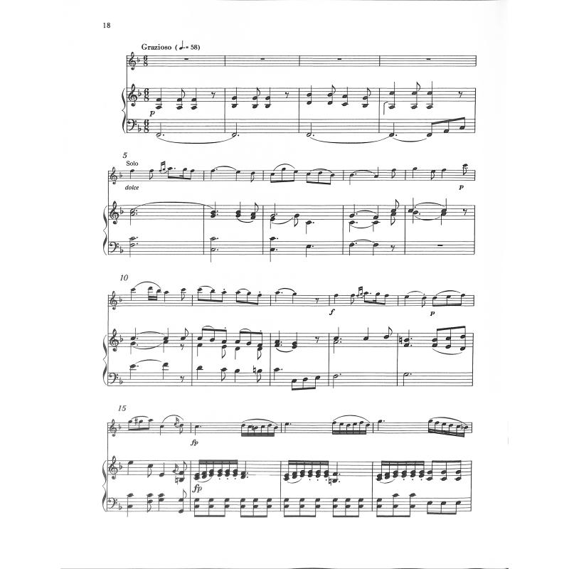 Konzert 1 d-moll