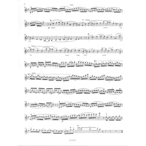 Solo 1 (Concerto 19 g-moll)