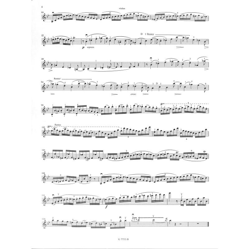 Solo 1 (Concerto 19 g-moll)