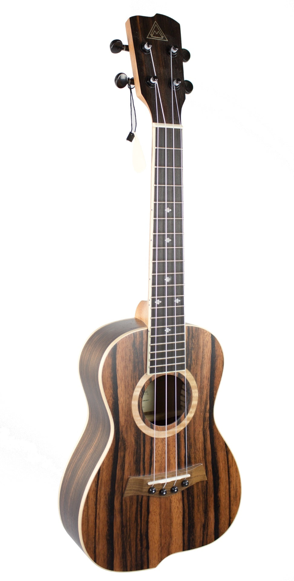 Swing Ebony Konzert Ukulele