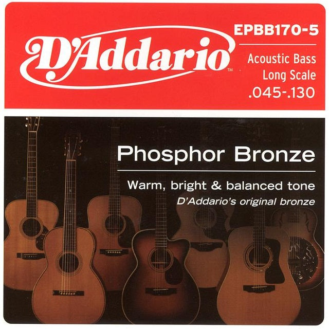 EPBB170-5 Acoustic Bass 45-130