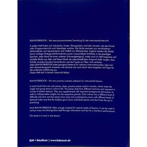 BLM Workbook 2