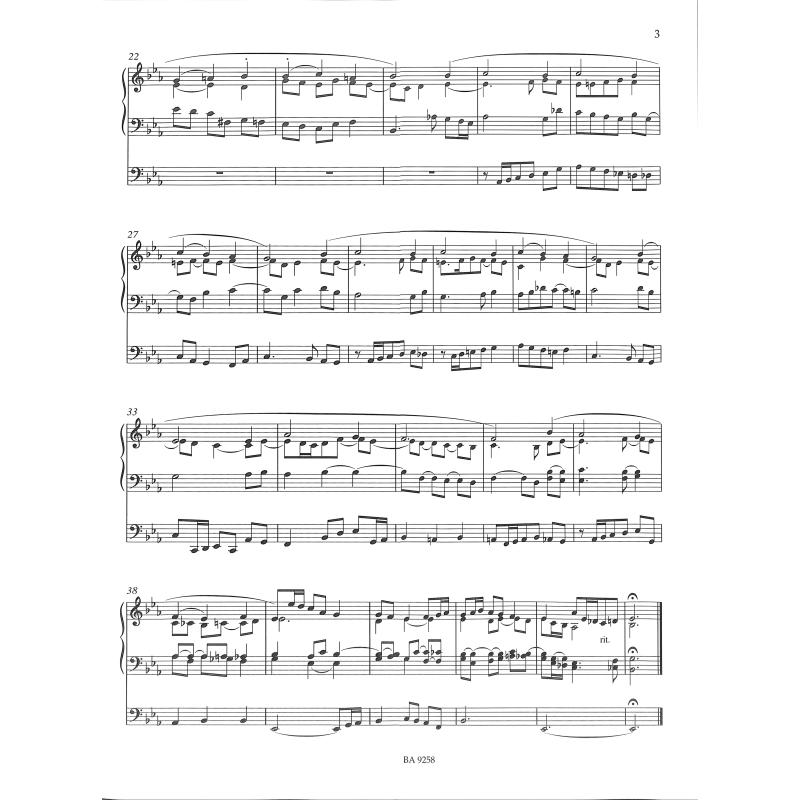Orgelmusik zur Weihnachtszeit 2