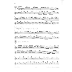 Die Altblockflöte 2