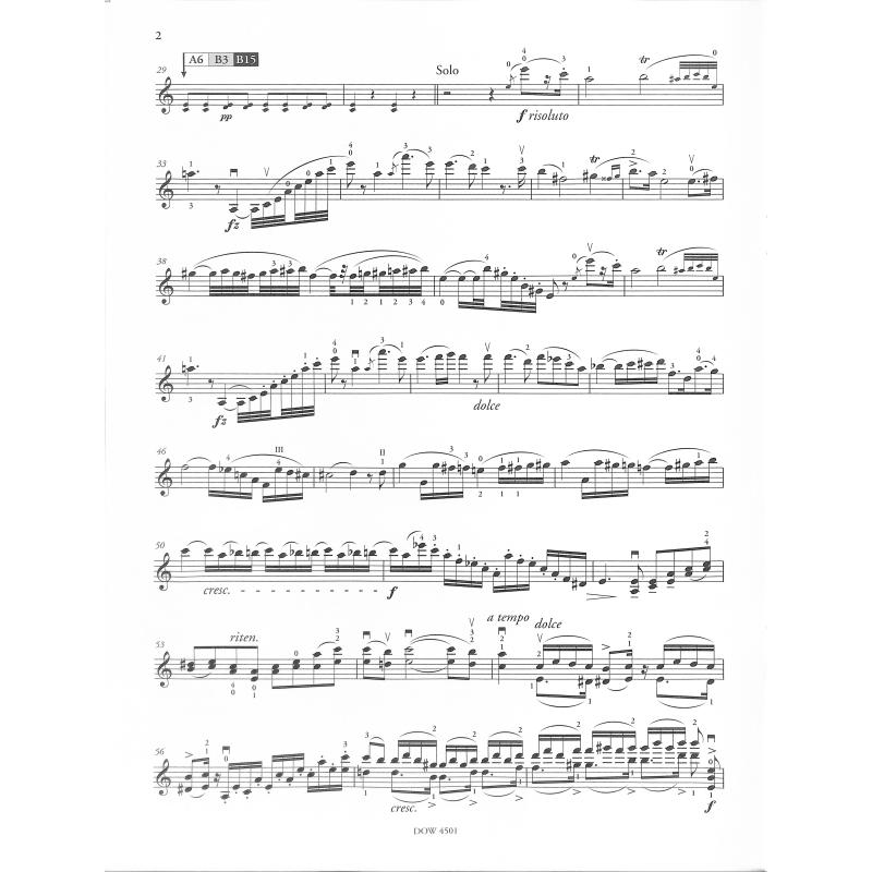 Concerto 9 a-moll op 104